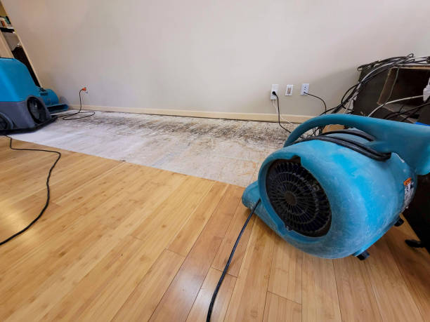 Professional Structural Drying technician working in Ada, OK